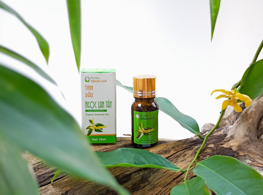 7 LỢI ÍCH CỦA TINH DẦU NGỌC LAN TÂY TĂNG CƯỜNG SỨC KHỎE, TÂM TRẠNG VÀ HUYẾT ÁP.